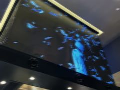-鸟山鸣·日料食堂(王府井店)
