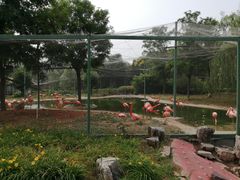 -石家庄市动物园