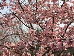 -夏氏怪老头·扬州狮子头(天山西路店)