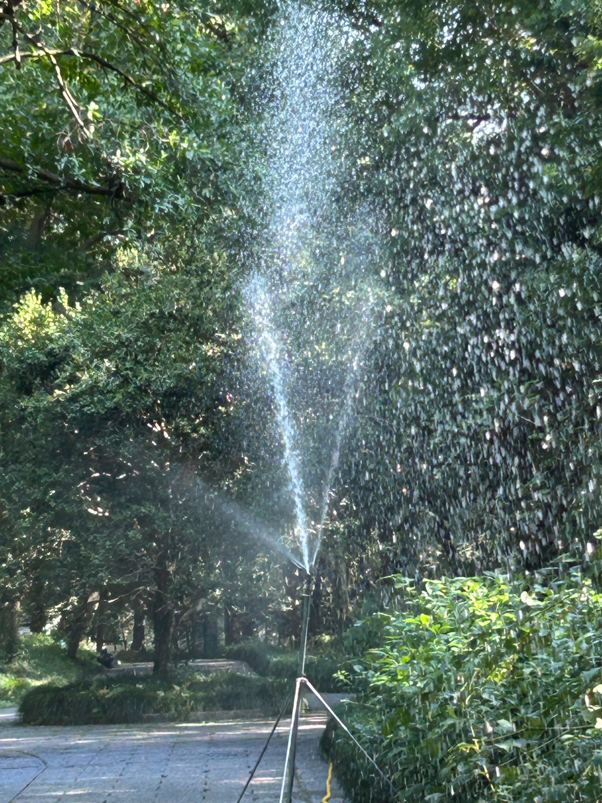 自动喷水系统