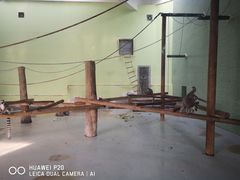 -太原动物园