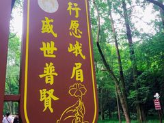 -峨眉山报国寺