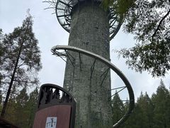 -黄海国家森林公园