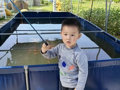 -菊园百果园