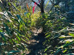 -安吉龙王山风景区