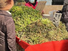-十五大街农贸市场