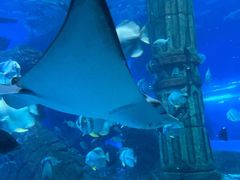 -波塞冬海底世界