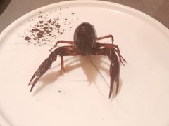 -黑金·寻焰自助百汇·烤肉·火锅(中街店)