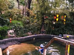-西安国际创新人才交流中心•药浴温泉