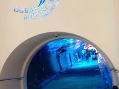 -迪拜水族馆及水下动物园
