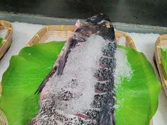-紫腾大院·南京菜(江宁店)