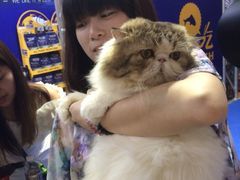 iphone_upload_pic-东浩兰生上海世博展览馆