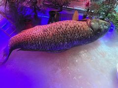 -人民公社大食堂(张家湾店)