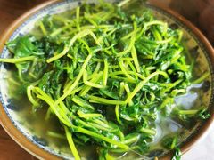 -食客三千·老家