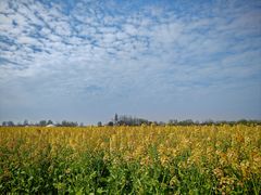 -中国天府农业博览园