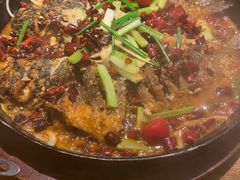 -老板恋上鱼(高新万达店)