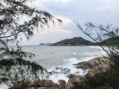 -广东惠东海龟国家级自然保护区