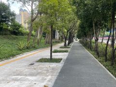 -棕榈泉国际高尔夫学院