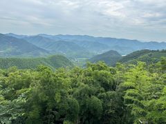 -莫干山风景区