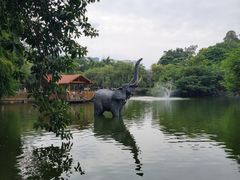 -深圳野生动物园