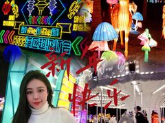 -欢乐海岸椰林沙滩-2025湾区超级灯会