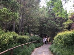 -西苑公园