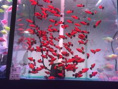 -三旗百汇商品城