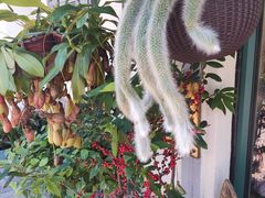 -常熟路(地铁站)