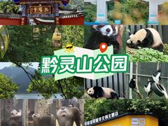 -黔灵山公园
