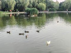 -太阳宫公园