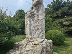 -云岗森林公园