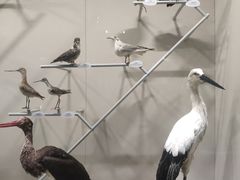 -中国湿地博物馆