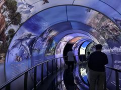 -房山世界地质公园博物馆