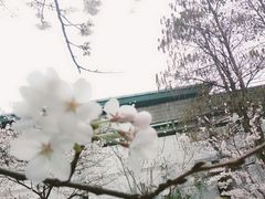 -鸡鸣赐茶(鸡鸣寺路店)