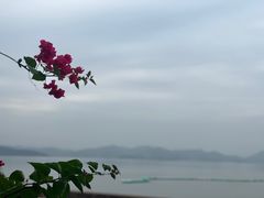 -鹰龙海畔度假酒店(咸祥店)