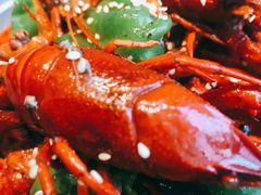 十三香小龙虾-游园觅食记夜市·小龙虾大排档
