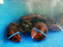 -老码头海鲜烧烤炒菜(广西路店)