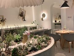 -春树下·树屋花房西餐厅(罍街AS1980店)