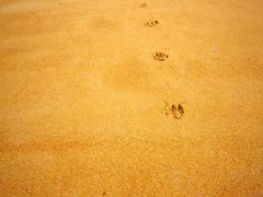 景点-布拉波海滩