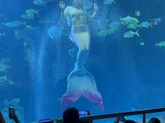 -太平洋海底世界