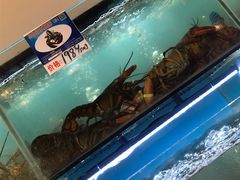 -南海渔家•海鲜•正宗海南菜(海棠湾店)