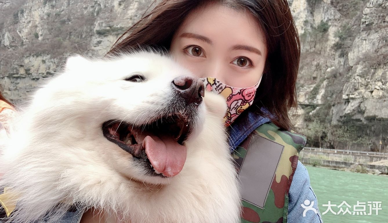 带着狗狗去远方🌞