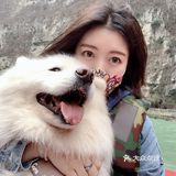 带着狗狗去远方🌞