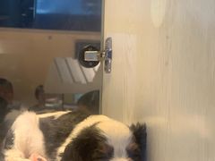 -乐宠宠物店(世纪金源店)