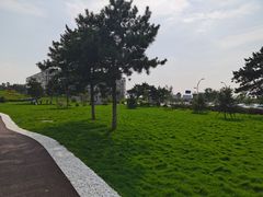 -莫子山公园
