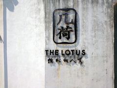 -几荷·恰似故人来(秀水广场店)