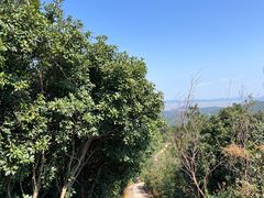 -缥缈峰景区