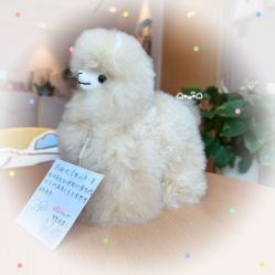 -慢脚印孕产中心(园区国金店)
