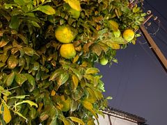 -山塘街