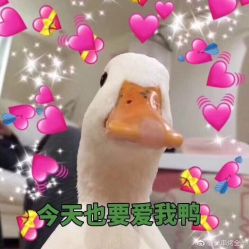 -明星刺青·洗纹身